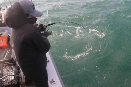 スカイマリン 釣果