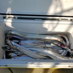 遊漁船 ニライカナイ 釣果