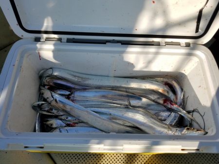 遊漁船 ニライカナイ 釣果