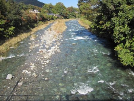 狩野川(狩野川漁業協同組合) 釣果