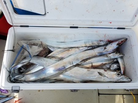 遊漁船　ニライカナイ 釣果