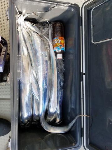 遊漁船　ニライカナイ 釣果