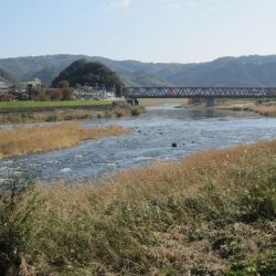 狩野川(狩野川漁業協同組合) 釣果