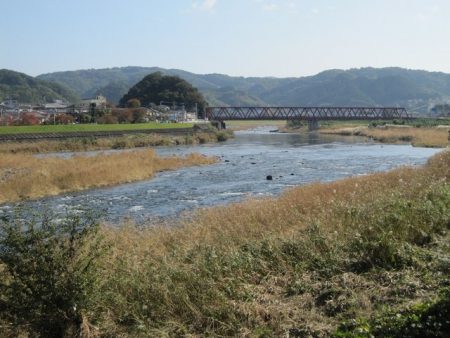 狩野川（狩野川漁業協同組合） 釣果