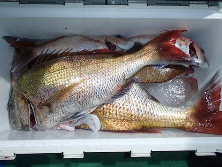 第二むつ漁丸 釣果