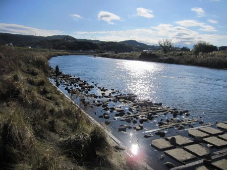 狩野川（狩野川漁業協同組合） 釣果