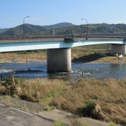 狩野川(狩野川漁業協同組合) 釣果