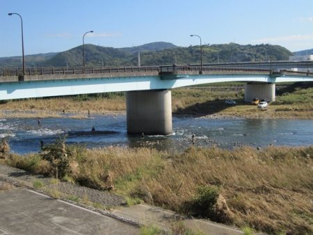 狩野川(狩野川漁業協同組合) 釣果