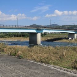 狩野川(狩野川漁業協同組合) 釣果