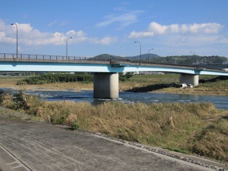 狩野川(狩野川漁業協同組合) 釣果