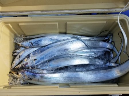 遊漁船　ニライカナイ 釣果