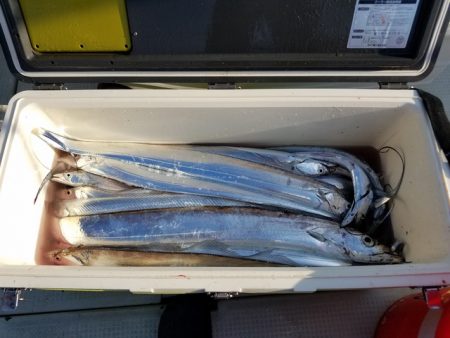 遊漁船　ニライカナイ 釣果