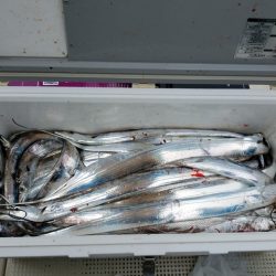 遊漁船 ニライカナイ 釣果