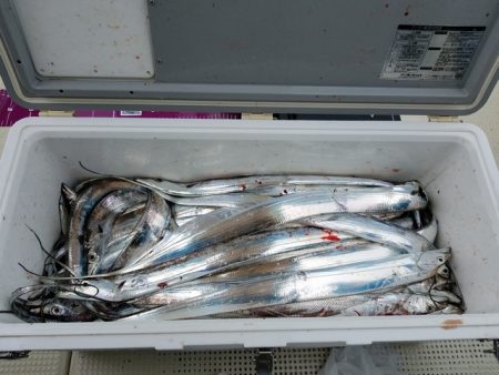 遊漁船 ニライカナイ 釣果