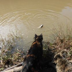 OLAHO　FISHING SPOT 釣果