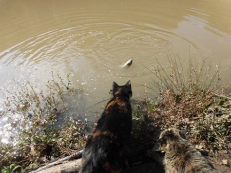 OLAHO　FISHING SPOT 釣果…