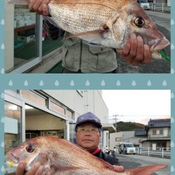 桑田観光 釣果