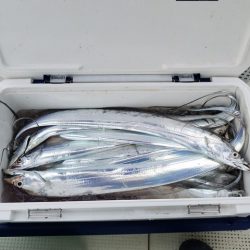 遊漁船　ニライカナイ 釣果