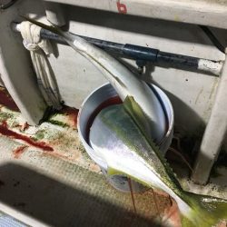 龍宮丸 釣果