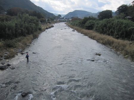 狩野川（狩野川漁業協同組合） 釣果