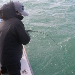 スカイマリン 釣果