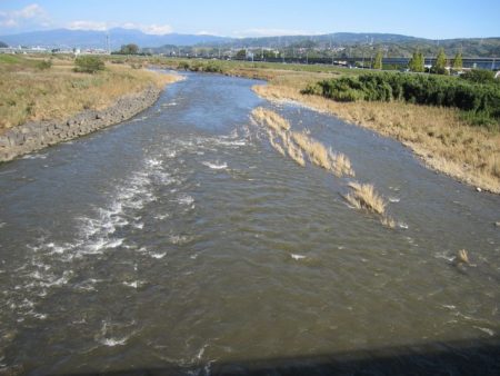 狩野川(狩野川漁業協同組合) 釣果