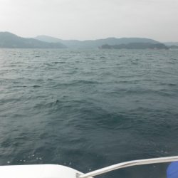 開進丸 釣果