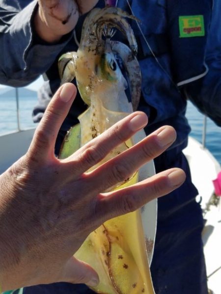 Magic(マジック) 釣果