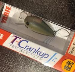 フィッシング サンクチュアリ 釣果