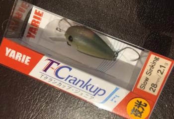 フィッシング サンクチュアリ 釣果