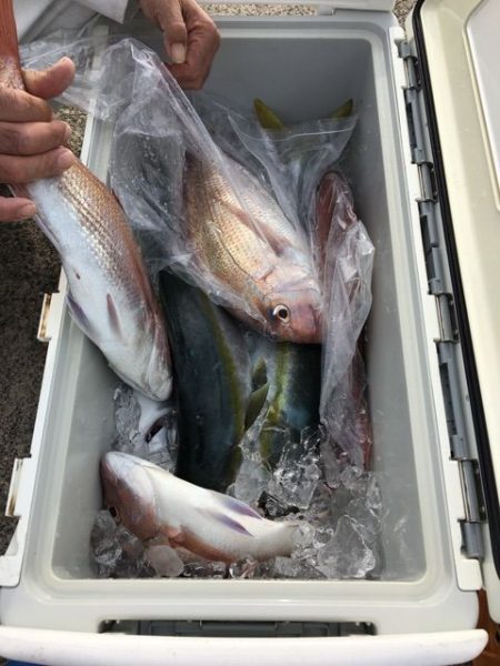 龍宮丸 釣果