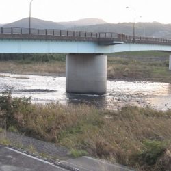 狩野川(狩野川漁業協同組合) 釣果