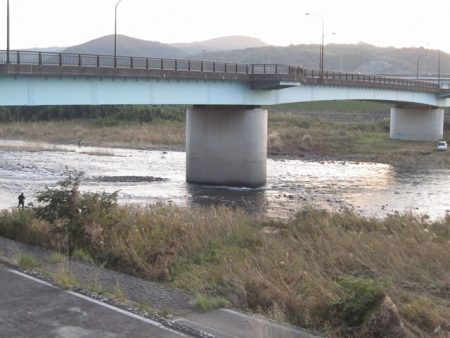 狩野川(狩野川漁業協同組合) 釣果