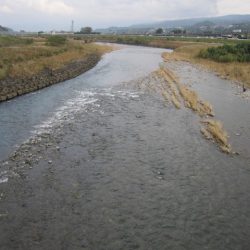 狩野川(狩野川漁業協同組合) 釣果