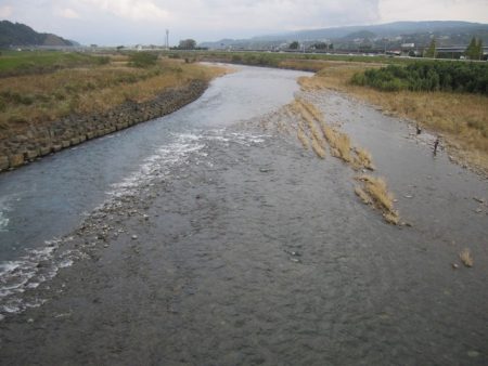 狩野川(狩野川漁業協同組合) 釣果