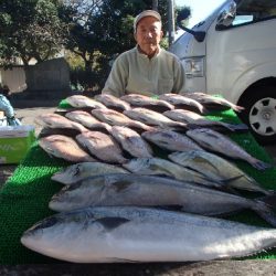 カタタのつり堀 釣果