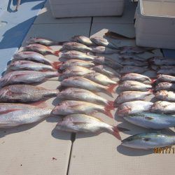 第十八吉栄丸 釣果