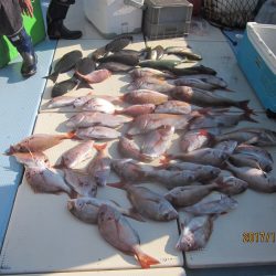 第十八吉栄丸 釣果