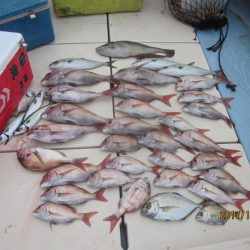 第十八吉栄丸 釣果