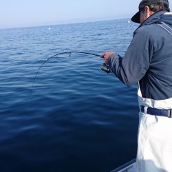 遊漁船ブルーウッズ 釣果