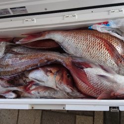 遊漁船ブルーウッズ 釣果