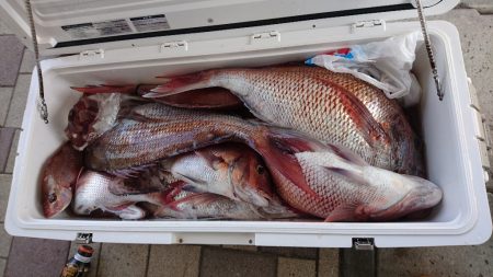 遊漁船ブルーウッズ 釣果