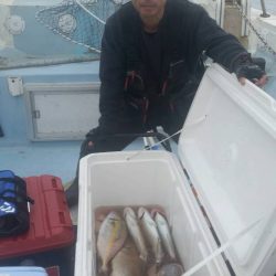 第五慶門丸 釣果