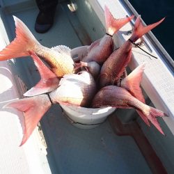 遊漁船ブルーウッズ 釣果