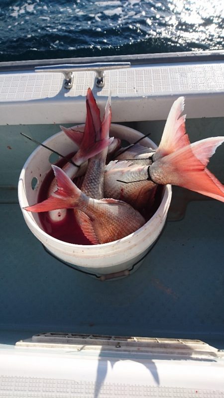 遊漁船ブルーウッズ 釣果