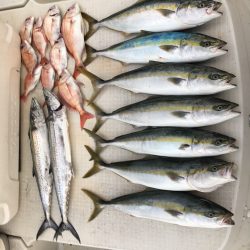 オーシャンズ 釣果