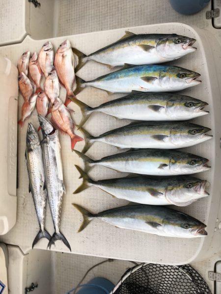 オーシャンズ 釣果