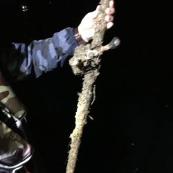 オーシャンズ 釣果