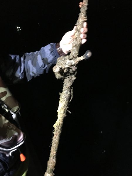 オーシャンズ 釣果