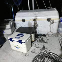 オーシャンズ 釣果